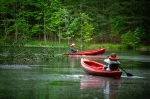 Peaceful pond